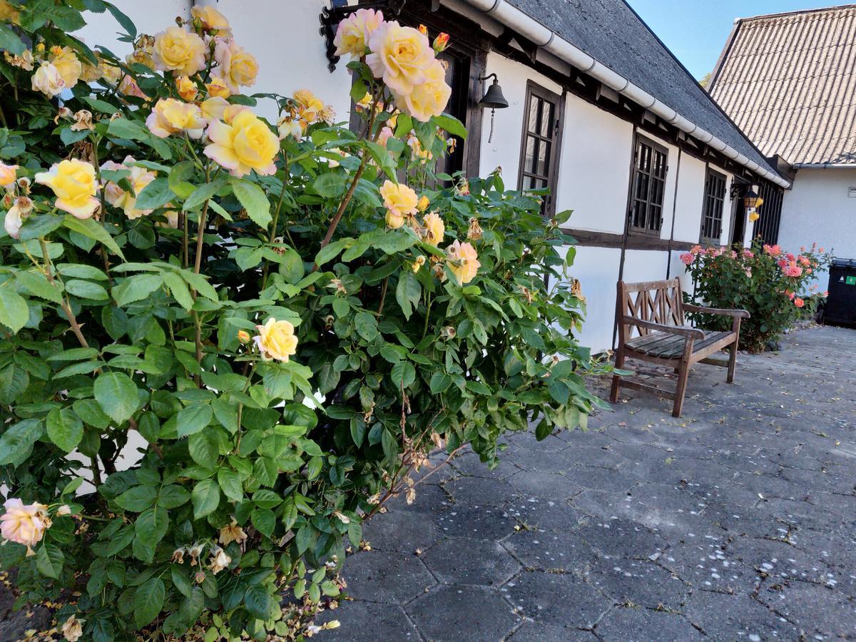 Dastrup Bed & Breakfast Viby Екстериор снимка